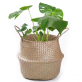 Basket For Plants | Segrass Baskets
